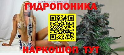 мяу мяу мука Будённовск