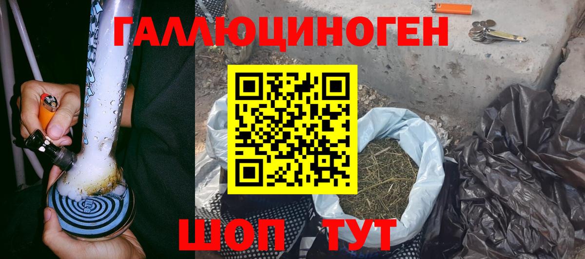 Галлюциногенные грибы Psilocybe Кропоткин